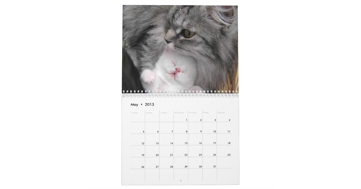 Cute Puppies and Kittens Calendar | Zazzle