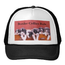 Cute Puppies Border Collies Rule Hat