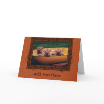 Cute Puppies Greetings cards by ironydesignphotos Cute Puppies Greetings cards