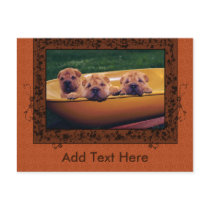Cute Puppies Greetings Post Cards
