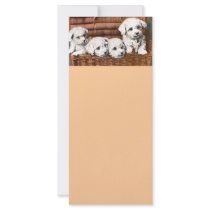 *Cute Puppies* Vintage rack cards