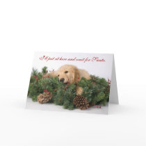 Cute Puppy Christmas card