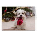 Cute Puppy Christmas card