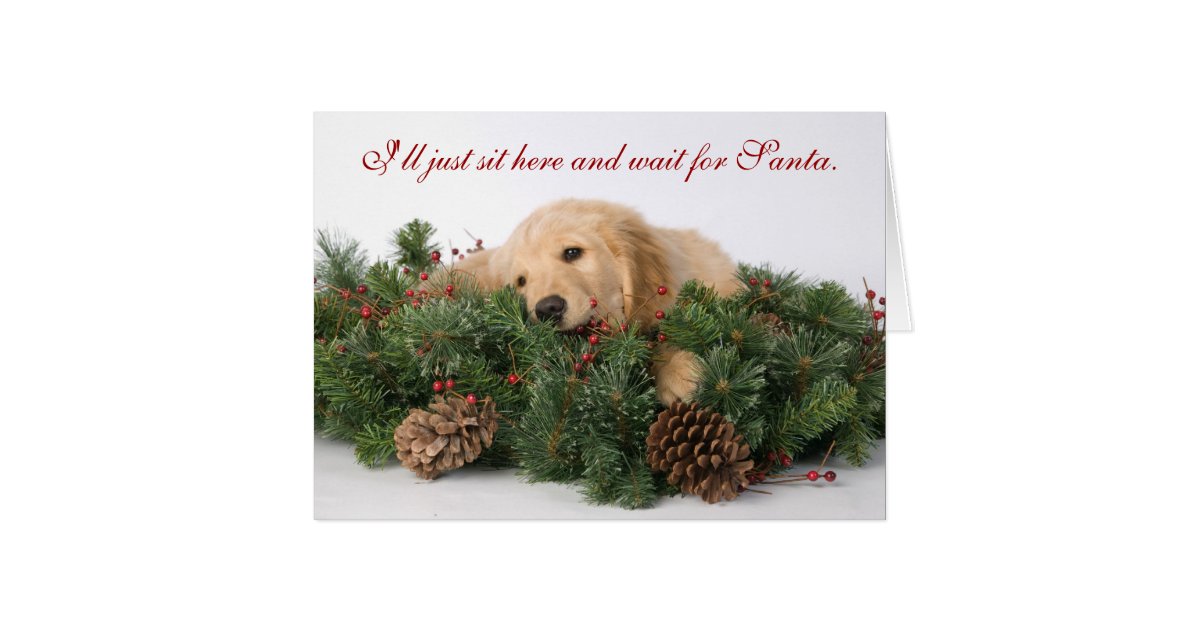 Cute Puppy Christmas card Zazzle
