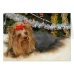Cute Puppy Christmas card