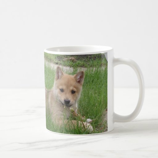 Cute Puppy Coffee Mug Zazzle