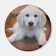 Cute puppy - create your own gifts fridge magnets