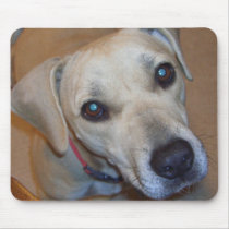 Cute puppy design mousepads by patcallum Cute puppy design mousepads