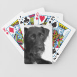 Cute Puppy Dog Playing Cards playing cards