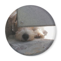 Cute Puppy Fridge Magnet