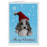Cute Puppy In Santa Hat Christmas Card