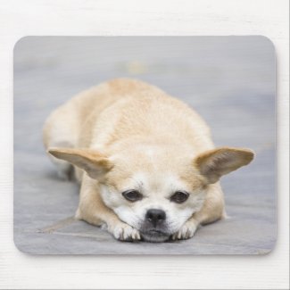 Cute Puppy Mouse Pads