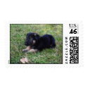 Cute Puppy Postage postage by KELLBELL535 Cute Puppy Postage postage