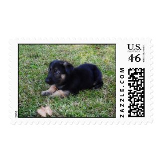 Cute Puppy Postage stamp