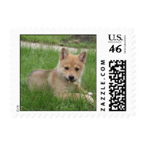 Cute Puppy Stamp