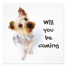 Cute Puppy "Will You Be Coming" Personalized Party Personalized Invitation