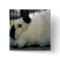 Cute Rabbit buttons