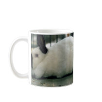 Cute Rabbit mugs