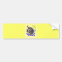 Cute Rabbit Photo and flowers Bumper Stickers