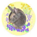 Cute Rabbit Photo and flowers stickers