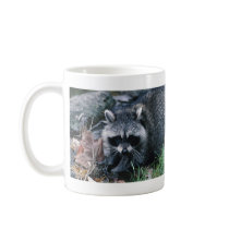 Cute Raccoon Mug