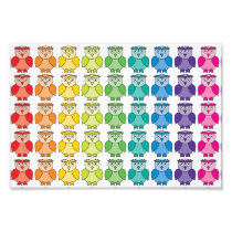 Cute Rainbow Owl Pattern. Photographic Print