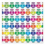 Cute Rainbow Owl Pattern Photographic Print