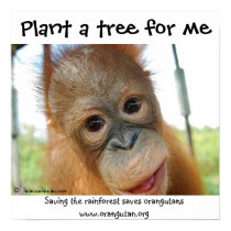 Cute Rainforest Fan posters by Rebecca_Reeder Cute Rainforest Fan posters