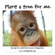 Cute Rainforest Fan print
