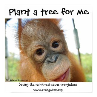 Cute Rainforest Fan print
