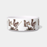 Cute  Rally Squirrel at Training Camp pet bowls