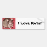 Cute Rat Bumper Stickers