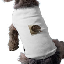 Cute Rat Close-Up Pet Clothes