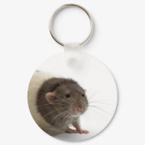 Cute Rat Close-Up keychains by alternateworlds Cute Rat Close-Up keychains