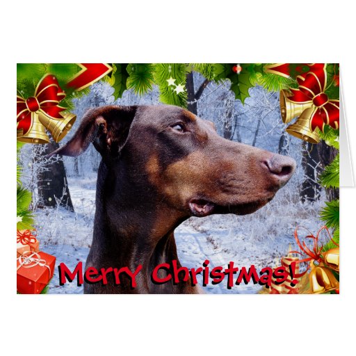 Doberman Christmas Cards 