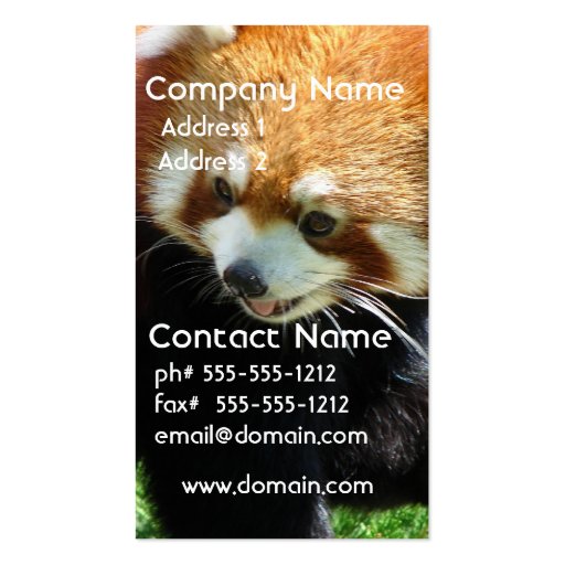 Cute Red Panda Bear Business Card (front side)