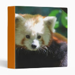 Cute Red Panda Binder