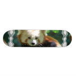 red panda, red panda bears, panda, pandas, panda bears, red panda bear, cute red panda, cute, sweet, adorable, animal, wildlife, wild, photography, bear, panda bear, wild animal, wild life, china, chinese panda, china panda, chinese panda bear, chinese, animals, panda photo, panda photograph, red panda photograph, red bear photo, red bear photograph, bears, mammal