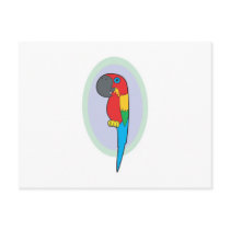 cute red pirate parrot postcards
