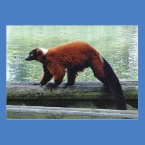 Cute Red-Ruffed Lemur ATC ACEO Trading Business Card
