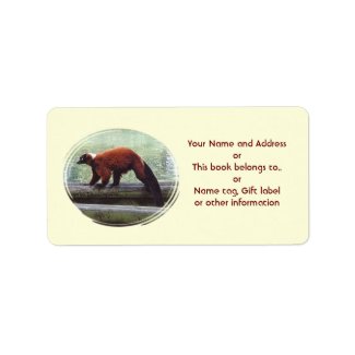 Cute Red-Ruffed Lemur Name Tag Gift Tag label