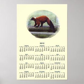 Cute Red-Ruffed Lemur Red Fur Calendar 2012 print