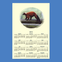 Cute Red-Ruffed Lemur Red Fur Calendar 2012 Posters