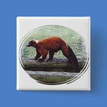 Cute Red-Ruffed Lemur Red Fur White Neck Badge Pinback Button