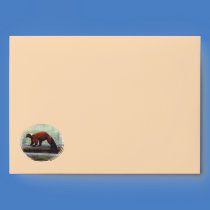 Cute Red-Ruffed Lemur Red Fur White Neck Envelopes