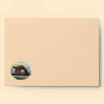 Cute Red-Ruffed Lemur Red Fur White Neck Envelopes