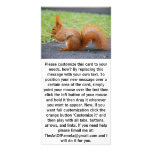 Cute Red Squirrel photo cards
