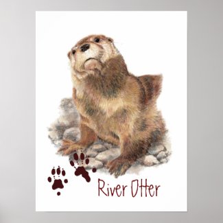 River Otter Tracks