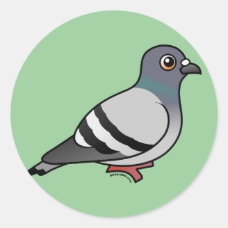 Dovii Cute_rock_pigeon_classic_round_sticker-r0ac2c2ad662041e9b609620834698f57_v9waf_8byvr_328