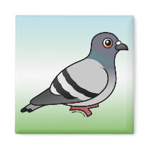 Cute Rock Pigeon Magnet